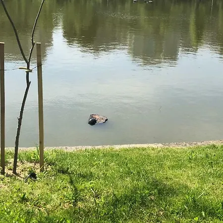 Drumul Taberei! Apartman *