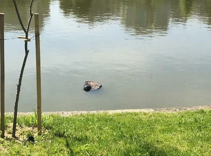 Drumul Taberei! Apartman *